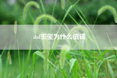 dnf玉玺为什么值钱
