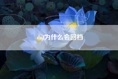 dnf为什么会回档