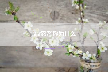 dnf忍者称为什么