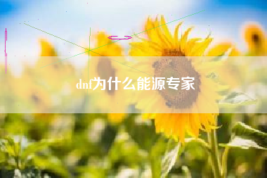 dnf为什么能源专家