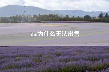 dnf为什么无法出售