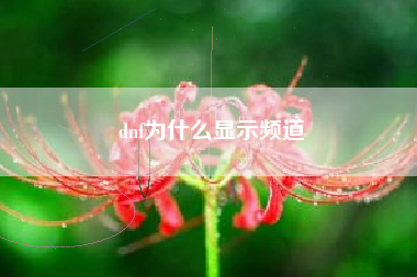 dnf为什么显示频道