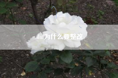 dnf为什么要整改