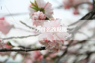 dnf为什么改贴图