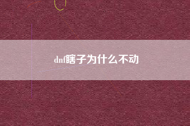 dnf瞎子为什么不动