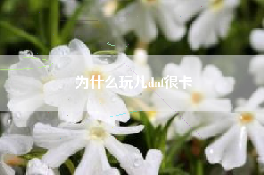 为什么玩儿dnf很卡