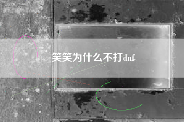 笑笑为什么不打dnf