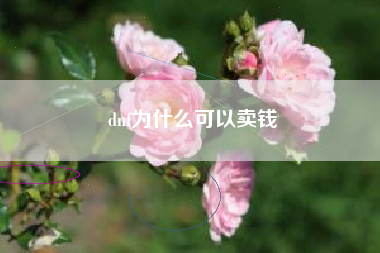 dnf为什么可以卖钱
