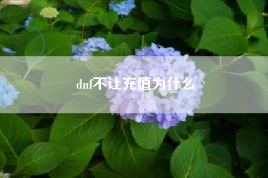 dnf不让充值为什么