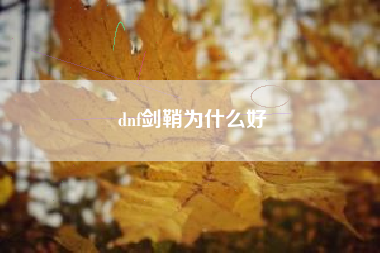 dnf剑鞘为什么好