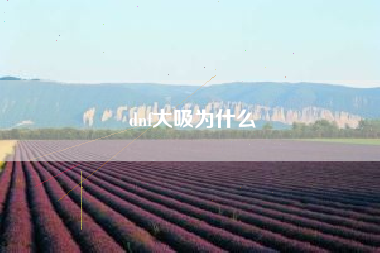 dnf大吸为什么