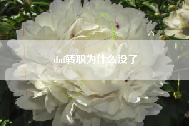 dnf转职为什么没了