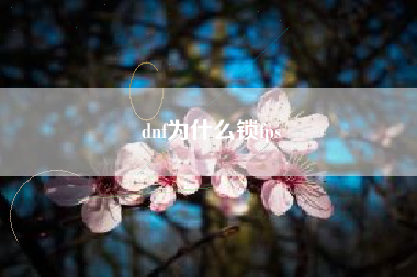 dnf为什么锁fps