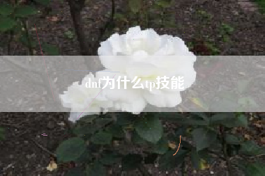 dnf为什么tp技能