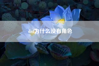 dnf为什么没有角色