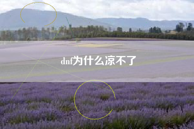 dnf为什么凉不了