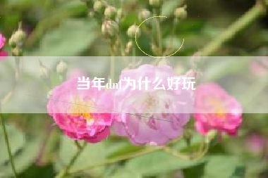 当年dnf为什么好玩