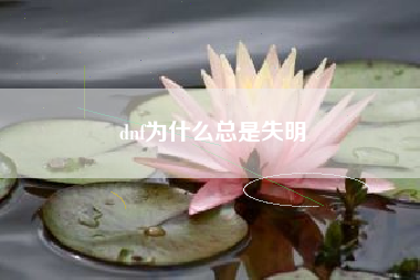 dnf为什么总是失明