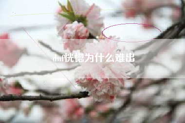 dnf恍惚为什么难出