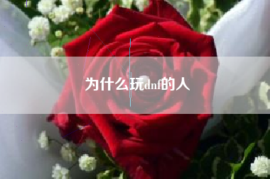 为什么玩dnf的人