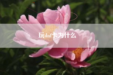玩dnf卡为什么