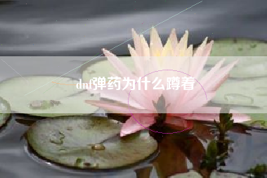 dnf弹药为什么蹲着