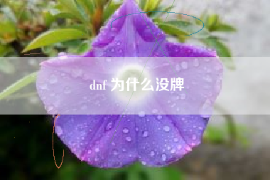 dnf 为什么没牌