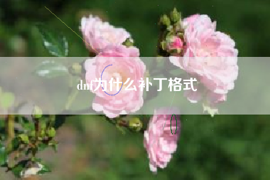 dnf为什么补丁格式