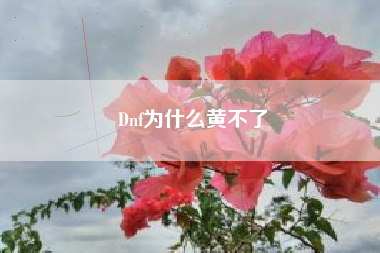Dnf为什么黄不了