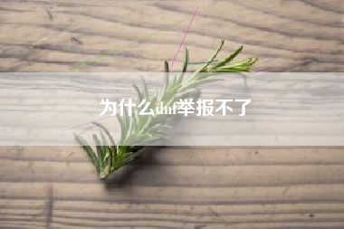 为什么dnf举报不了