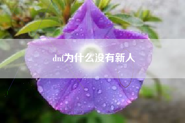 dnf为什么没有新人