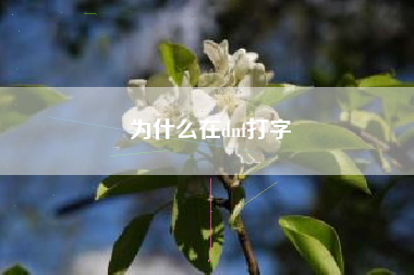 为什么在dnf打字