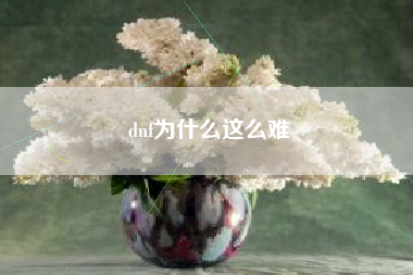dnf为什么这么难