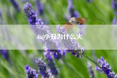 dnf小丑为什么火