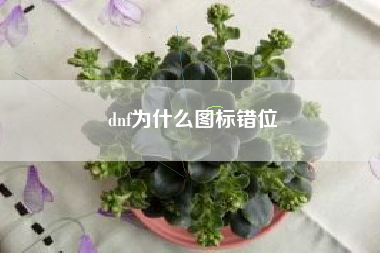 dnf为什么图标错位