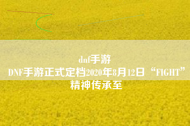 dnf手游 
DNF手游正式定档2020年8月12日“FIGHT”精神传承至