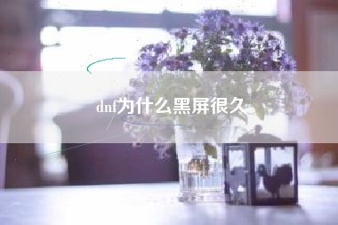 dnf为什么黑屏很久