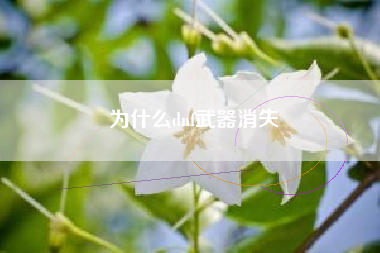 为什么dnf武器消失