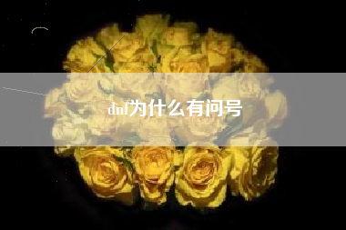 dnf为什么有问号