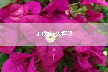 dnf为什么停服