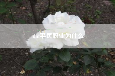 dnf平民职业为什么
