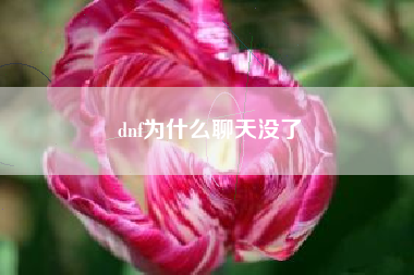 dnf为什么聊天没了