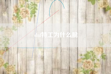 dnf特工为什么脆