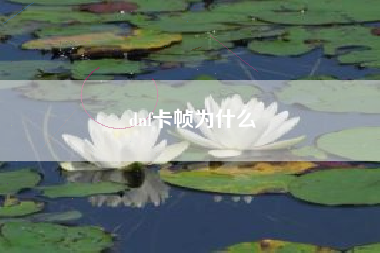 dnf卡帧为什么