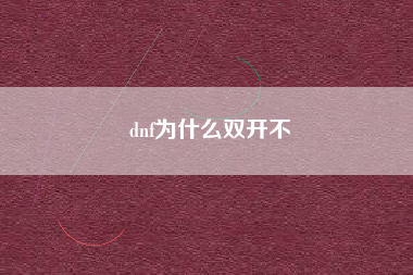 dnf为什么双开不