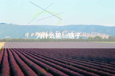 为什么黑dnf瞎子