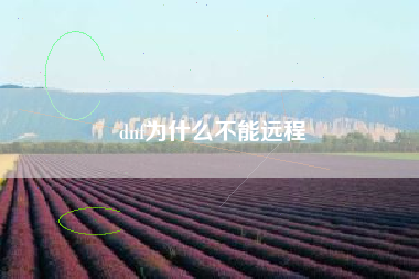 dnf为什么不能远程