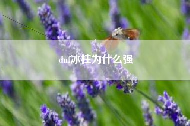 dnf冰柱为什么强