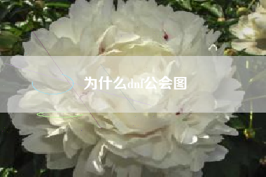 为什么dnf公会图
