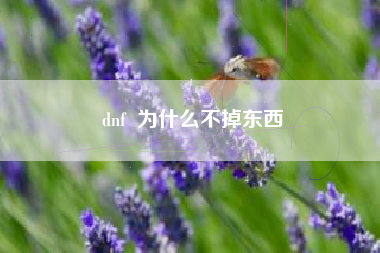 dnf  为什么不掉东西